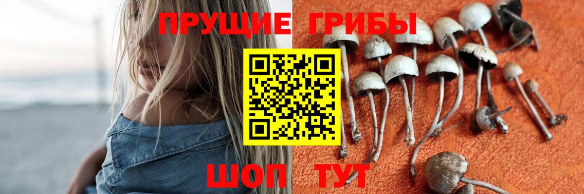 Галлюциногенные грибы MAGIC MUSHROOMS  Вход с VPN  Борисоглебск 